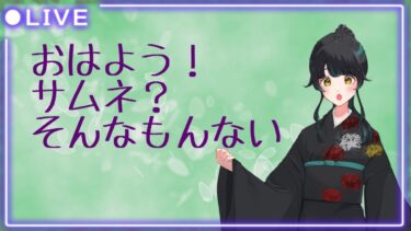 【ZZZero実況】【#ゼンレスゾーンゼロ】顔面工事しながらまったりと！