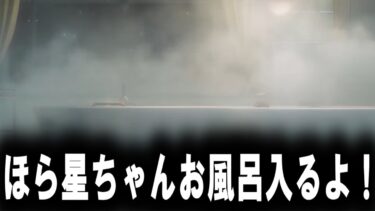 【ゼンゼロ攻略法】【崩壊：スターレイル】コズミック・ハウジングガイド　攻略　【スタレ/スターレイル】