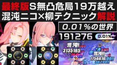 【ゼンゼロ攻略法】【ゼンゼロ】最終版S無凸で危局19万越え解説・ニコ×柳の強い混沌テクニック実践紹介【ゼンレスゾーンゼロ・攻略・考察・検証】危局強襲戦・0.01％・ツインズ