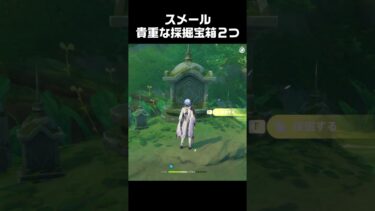 【ゼンゼロ攻略法】採掘宝箱９個の後に貴重な宝箱２つ手に入れる方法　#原神 #攻略 #genshinimpact